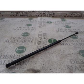 AMORTIGUADORES MALETERO / PORTON 