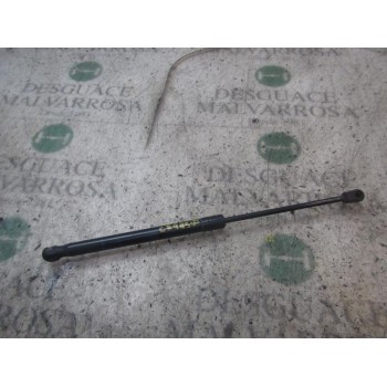 AMORTIGUADORES MALETERO / PORTON 