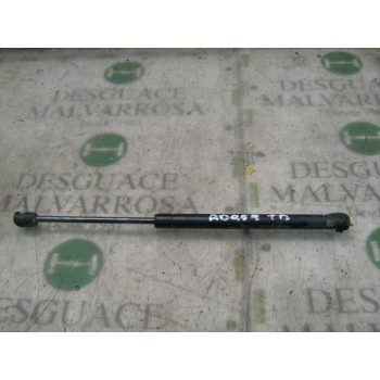 AMORTIGUADORES MALETERO / PORTON 