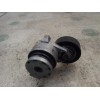 Recambio de tensor correa auxiliar para renault scenic ii confort authentique referencia OEM IAM   