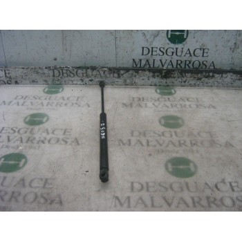 AMORTIGUADORES MALETERO / PORTON 