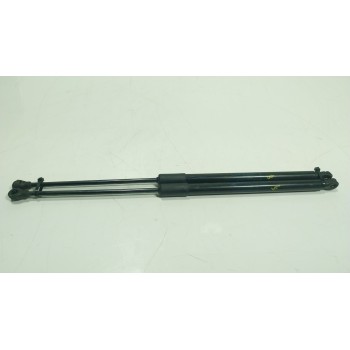 AMORTIGUADORES MALETERO / PORTON 90450821R 