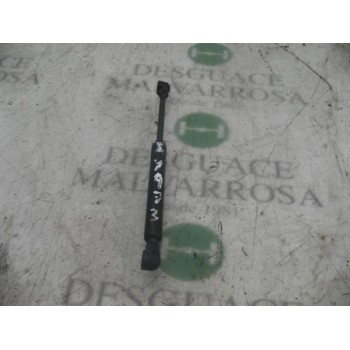 AMORTIGUADORES MALETERO / PORTON 