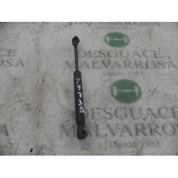 AMORTIGUADORES MALETERO / PORTON 