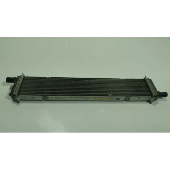 RADIADOR AGUA 214108020R 