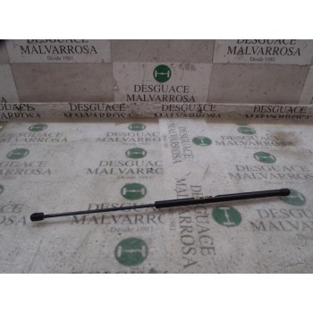 AMORTIGUADORES MALETERO / PORTON 