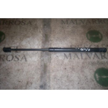 AMORTIGUADORES MALETERO / PORTON 