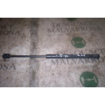 AMORTIGUADORES MALETERO / PORTON 