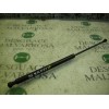 Recambio de amortiguador capot para renault vel satis (bj0) privilege referencia OEM IAM 8200015091  