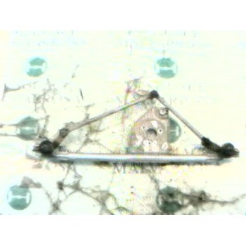 ARTICULACION LIMPIA DELANTERO 