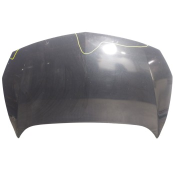 CAPOT DELANTERO 13350341 