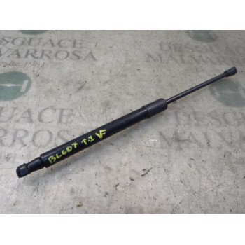 AMORTIGUADORES MALETERO / PORTON 