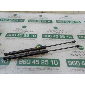 AMORTIGUADORES MALETERO / PORTON 904529943R 