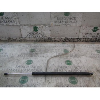 AMORTIGUADORES MALETERO / PORTON 