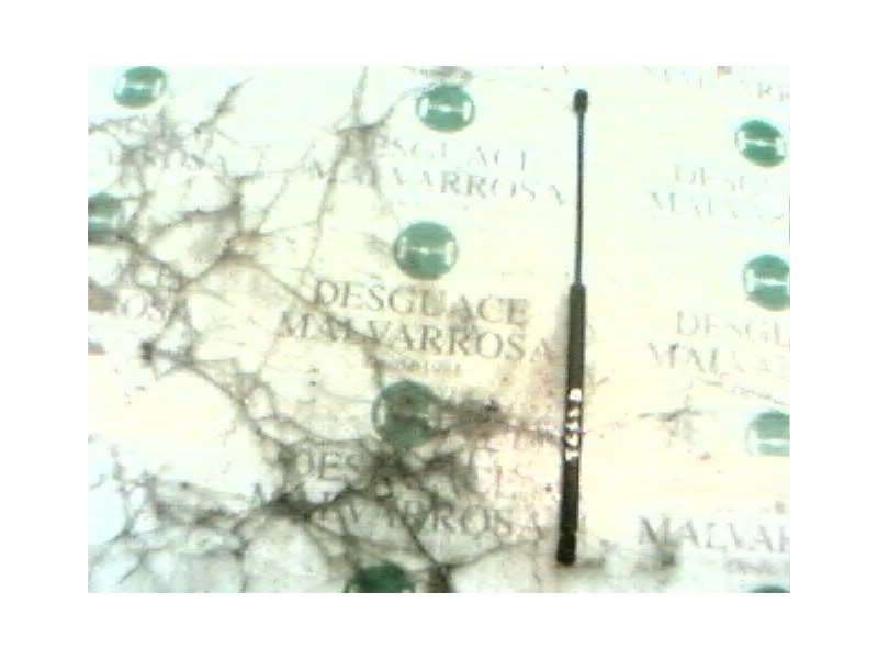 Recambio de amortiguador capot para renault safrane (b54) baccara v6i (b544) referencia OEM IAM   