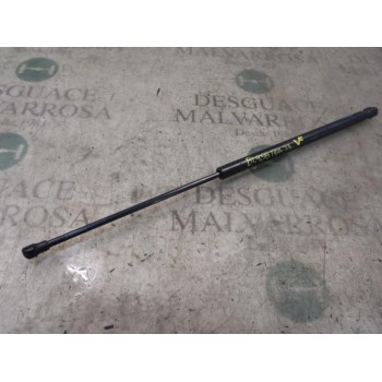 AMORTIGUADORES MALETERO / PORTON 