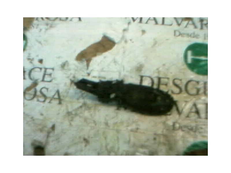 Recambio de modulo electronico para citroën xsara berlina 1.9 d sx referencia OEM IAM   