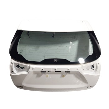 PORTON TRASERO 670050D802 