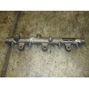 Recambio de rampa inyectora para peugeot 307 (s1) referencia OEM IAM   