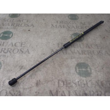 AMORTIGUADORES MALETERO / PORTON 