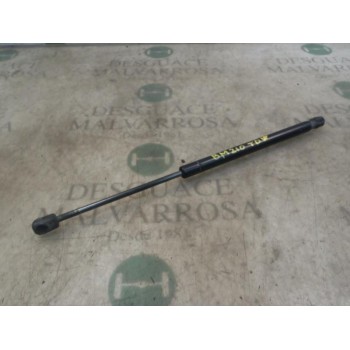 AMORTIGUADORES MALETERO / PORTON 