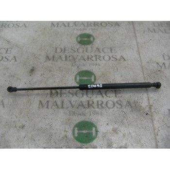 AMORTIGUADORES MALETERO / PORTON 