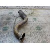 Recambio de salida colector para citroën c4 grand picasso 1.6 16v hdi fap referencia OEM IAM   