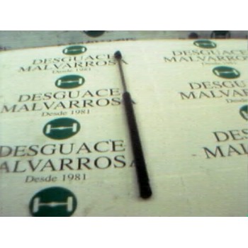 AMORTIGUADORES MALETERO / PORTON 