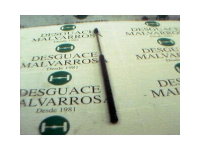 Recambio de amortiguadores maletero / porton para daewoo matiz s referencia OEM IAM   