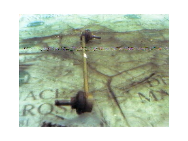 Recambio de tirante delantero derecho para renault laguna ii (bg0) dynamique referencia OEM IAM   