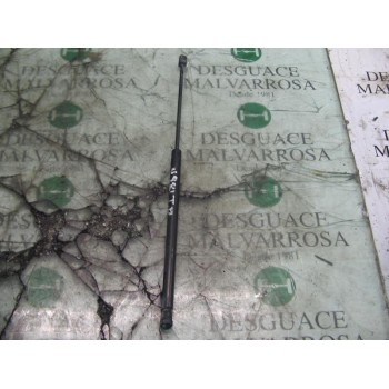 AMORTIGUADORES MALETERO / PORTON 