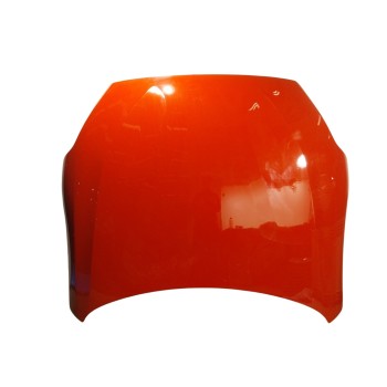 CAPOT DELANTERO 41008495959 