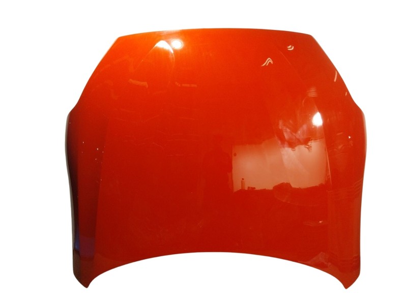 Recambio de capot delantero para bmw z4 roadster (g29) sdrive 20 i referencia OEM IAM 41008495959  