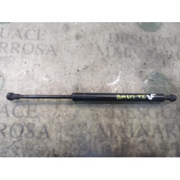 AMORTIGUADORES MALETERO / PORTON 51248254281 