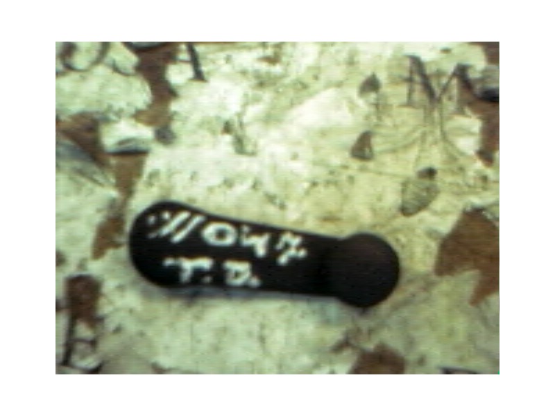 Recambio de maneta elevalunas trasera derecha para seat leon (1m1) signo referencia OEM IAM   