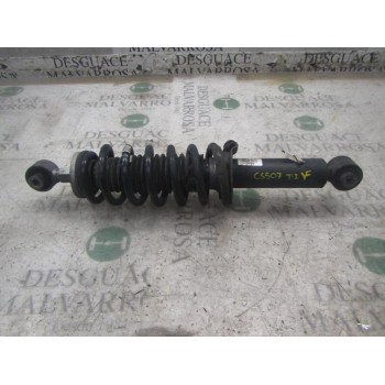 AMORTIGUADOR TRASERO IZQUIERDO 5206ZC 