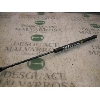 AMORTIGUADORES MALETERO / PORTON 