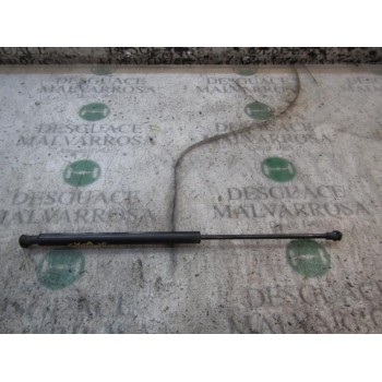 AMORTIGUADORES MALETERO / PORTON 