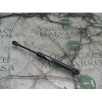 AMORTIGUADORES MALETERO / PORTON 