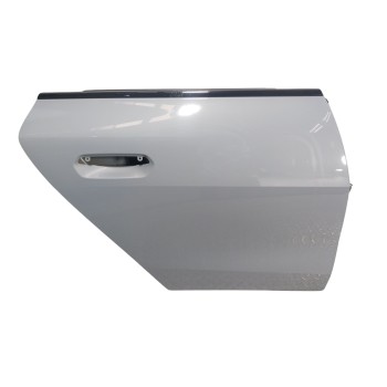 PUERTA TRASERA DERECHA 41009625100 