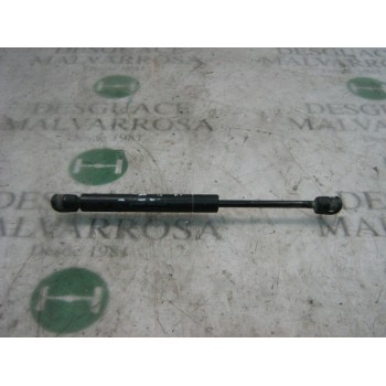 AMORTIGUADORES MALETERO / PORTON 