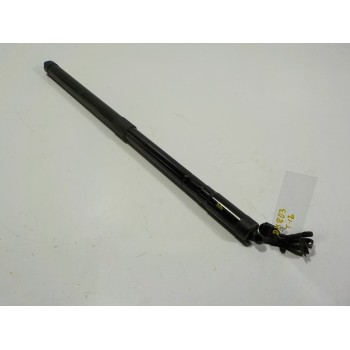 AMORTIGUADORES MALETERO / PORTON LR044161 CPLA70354BC 