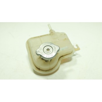 DEPOSITO EXPANSION 217104297R 217104297R 