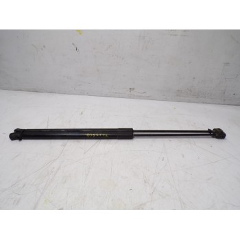 AMORTIGUADORES MALETERO / PORTON 13428064 