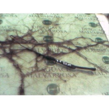 BRAZO LIMPIA DELANTERO IZQUIERDO 