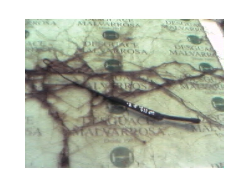 Recambio de brazo limpia delantero izquierdo para volkswagen bora berlina (1j2) conceptline referencia OEM IAM   