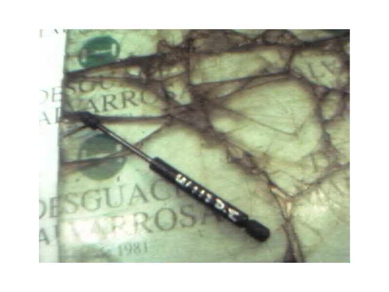 Recambio de amortiguadores maletero / porton para volkswagen bora berlina (1j2) conceptline referencia OEM IAM   