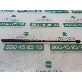 AMORTIGUADORES MALETERO / PORTON 