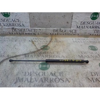 AMORTIGUADORES MALETERO / PORTON 