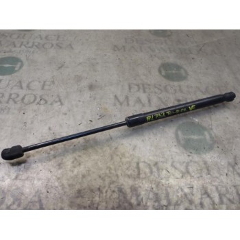 AMORTIGUADORES MALETERO / PORTON 